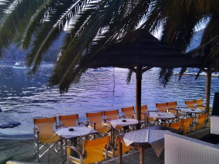 Dolfin Otel Tolón Dış mekan fotoğraf